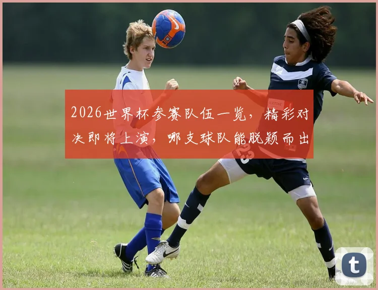 2026世界杯参赛队伍一览，精彩对决即将上演，哪支球队能脱颖而出