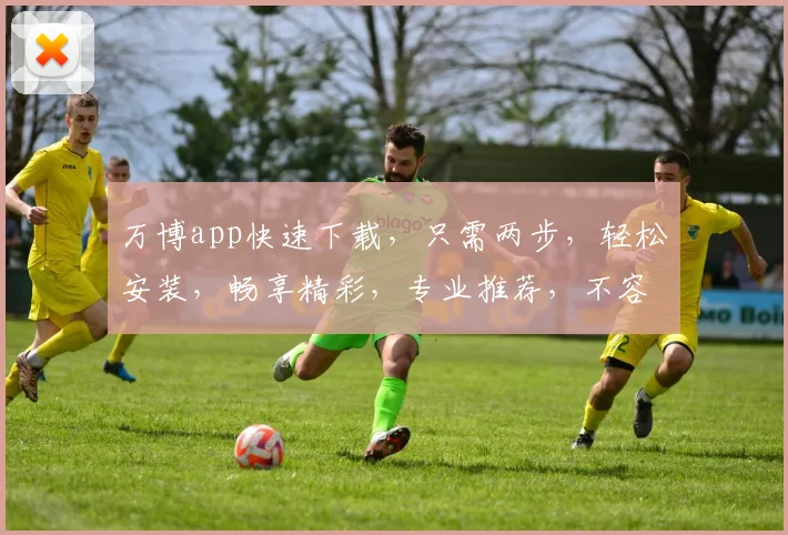万博app快速下载，只需两步，轻松安装，畅享精彩，专业推荐，不容错过，必看攻略