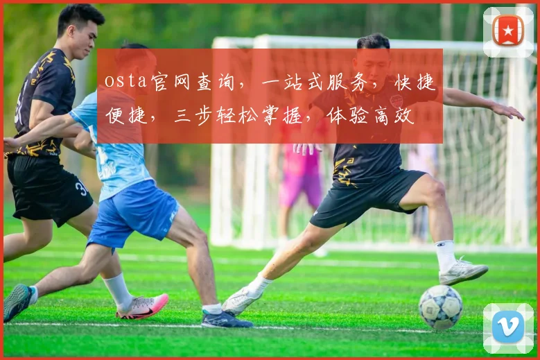 osta官网查询，一站式服务，快捷便捷，三步轻松掌握，体验高效