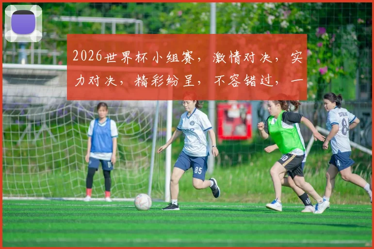2026世界杯小组赛，激情对决，实力对决，精彩纷呈，不容错过，一触即发