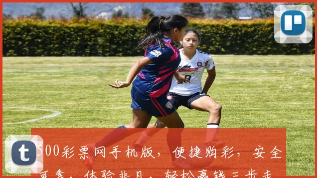 500彩票网手机版，便捷购彩，安全可靠，体验非凡，轻松赢钱三步走，尽在掌握