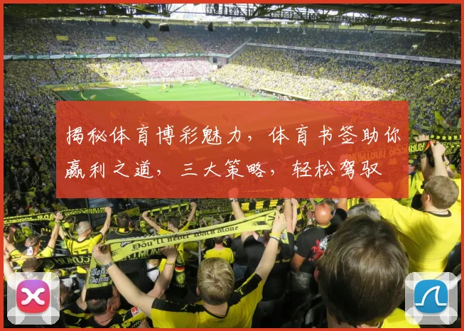 揭秘体育博彩魅力，体育书签助你赢利之道，三大策略，轻松驾驭