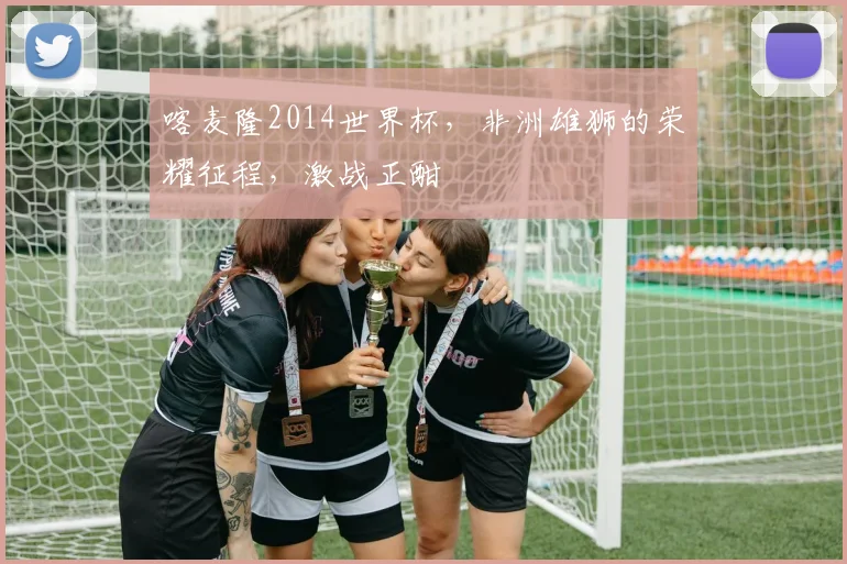 喀麦隆2014世界杯，非洲雄狮的荣耀征程，激战正酣