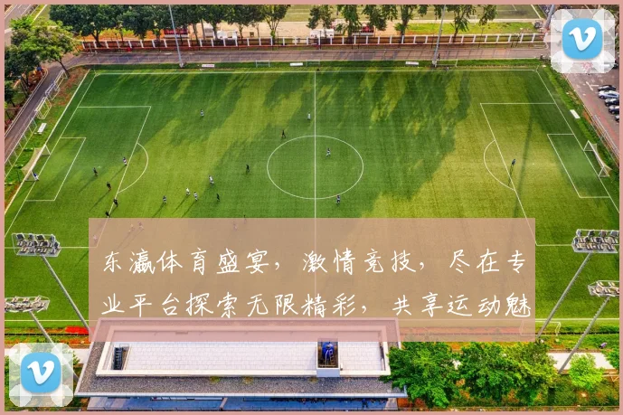 东瀛体育盛宴，激情竞技，尽在专业平台探索无限精彩，共享运动魅力