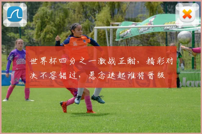 世界杯四分之一激战正酣，精彩对决不容错过，悬念迭起谁将晋级
